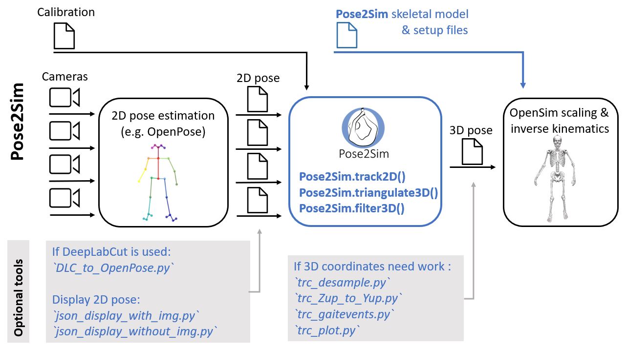 The Pose2Sim workflow, along with some optional utilities provided in the package.\label{fig:utilities}